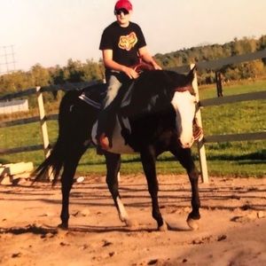 Meet your Posher, Karrie